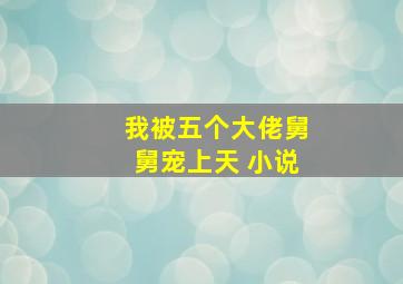 我被五个大佬舅舅宠上天 小说